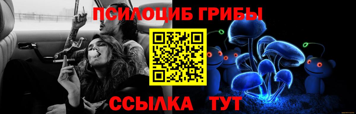Псилоцибиновые грибы ЛСД  Галлюциногенные грибы мицелий  Вход с VPN  Хасавюрт 